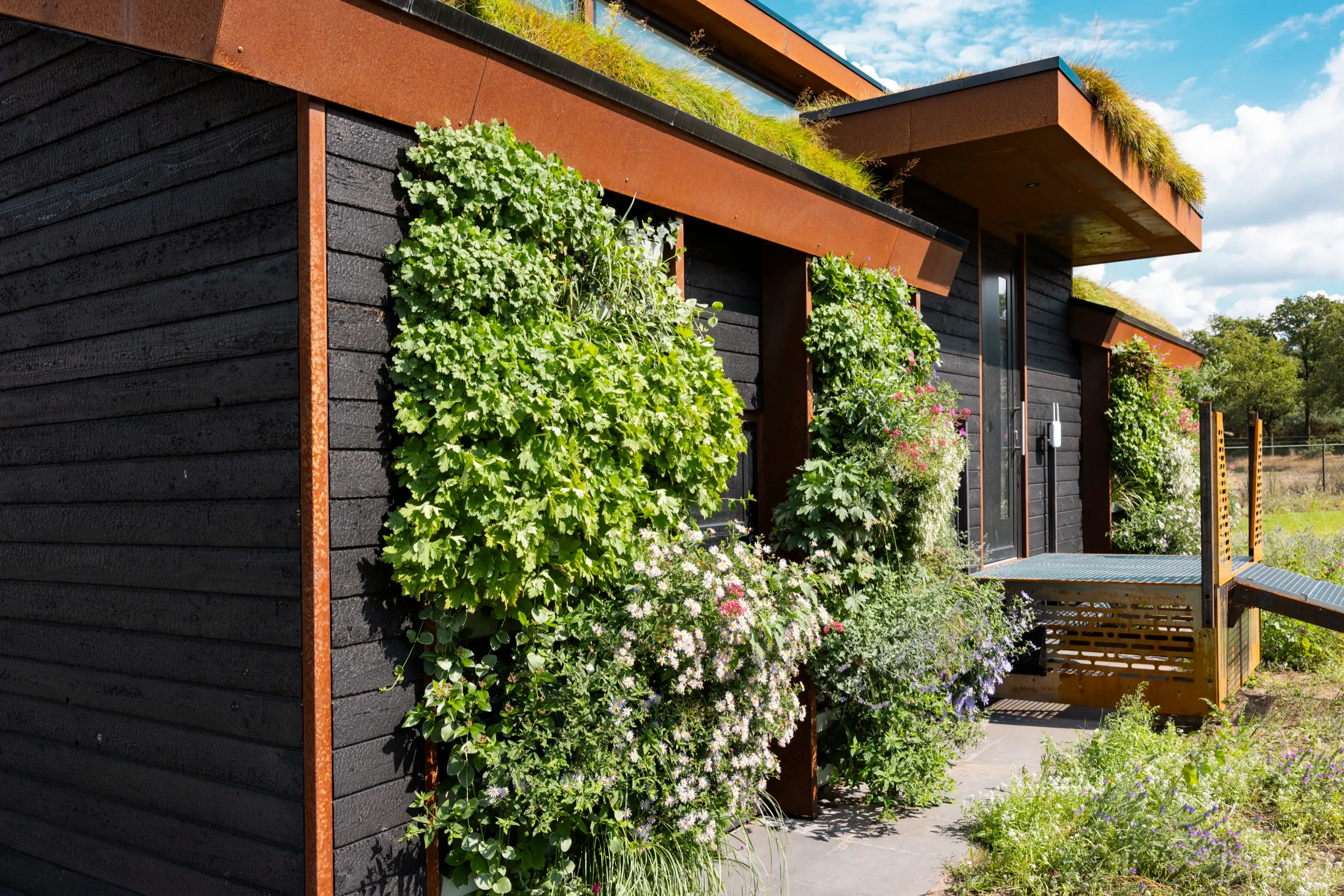 Property showcase 11