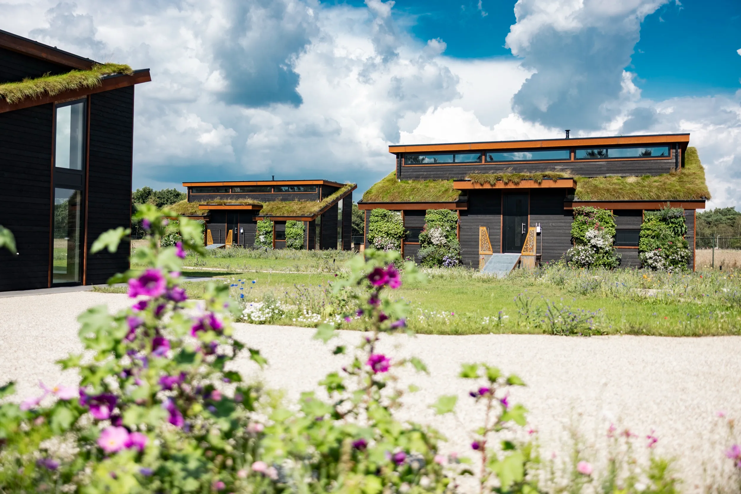 Property showcase 12