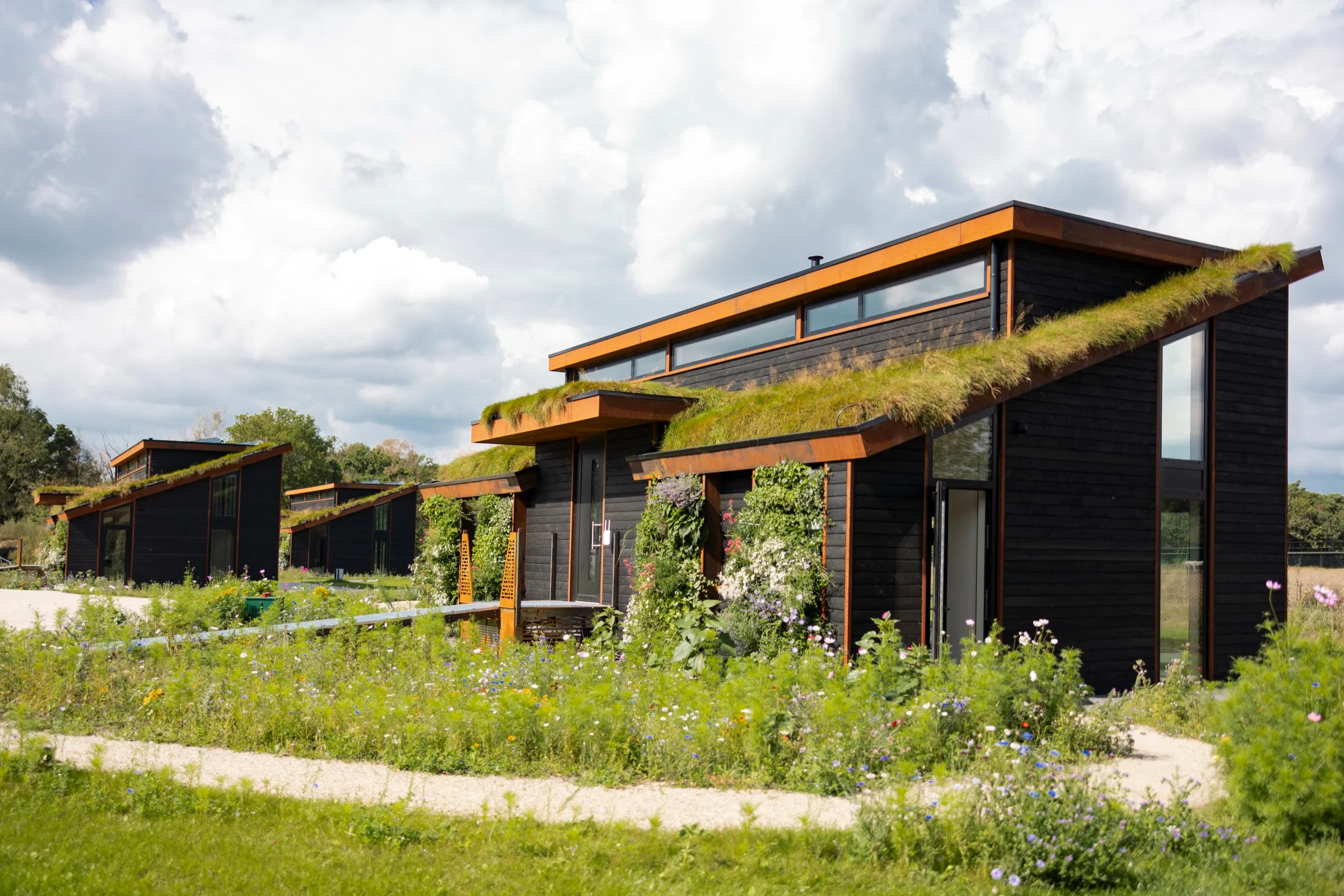 Property showcase 13