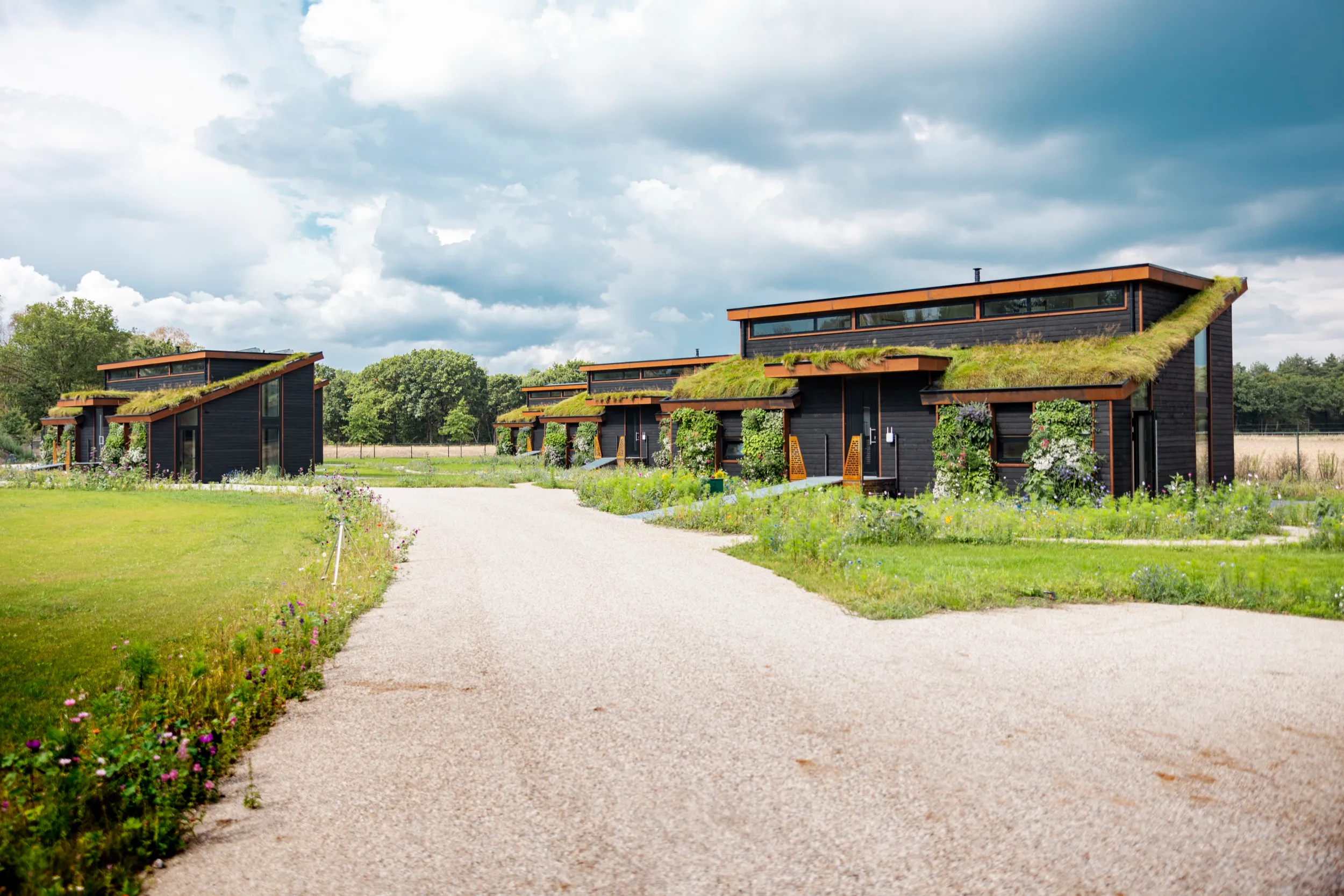 Property showcase 15