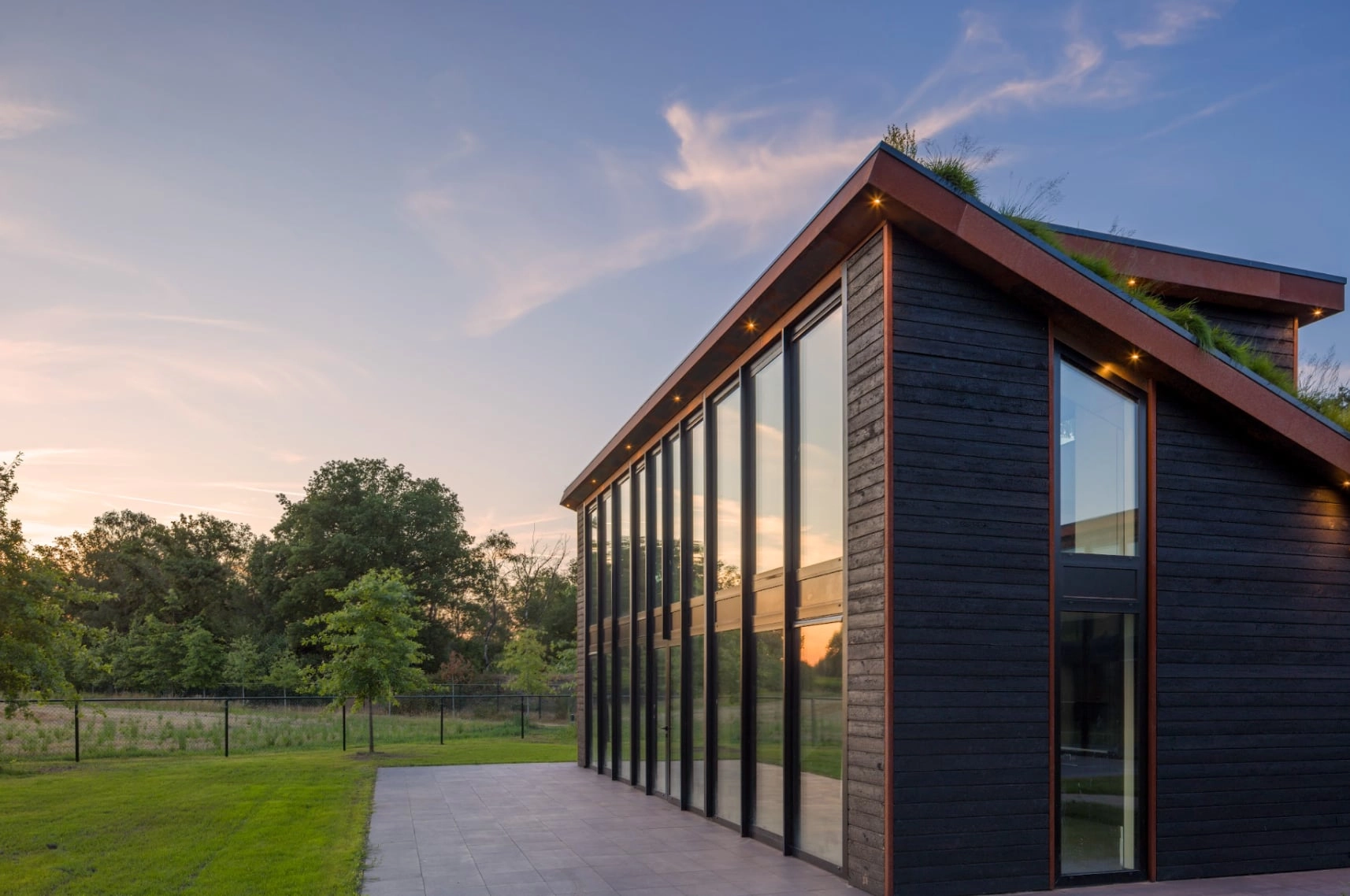 Atmospheric forest view