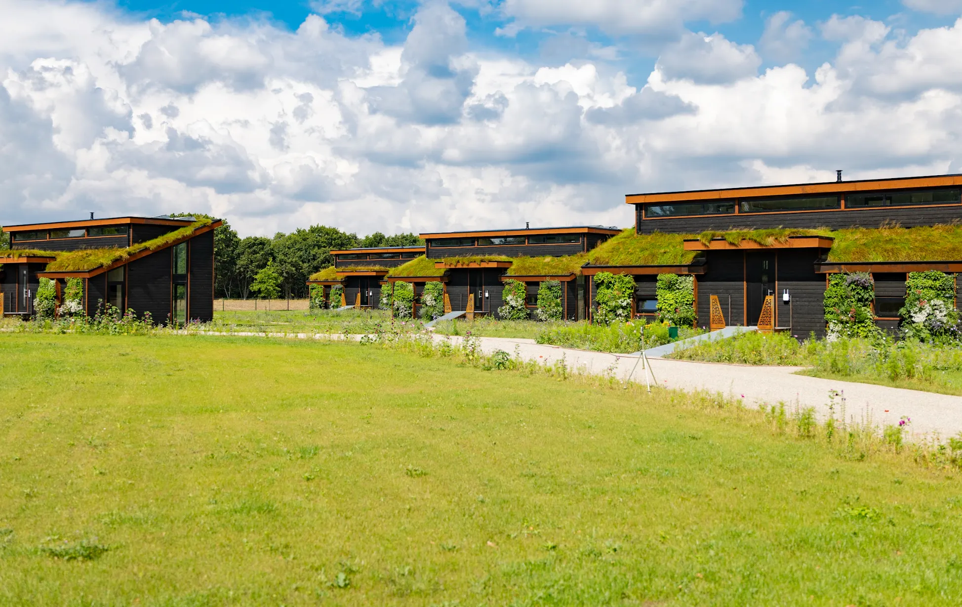 Native ecosystem integration and protection