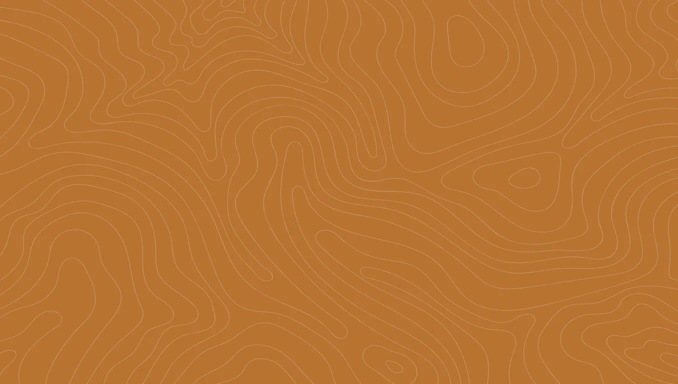 3-6 Month Specialization