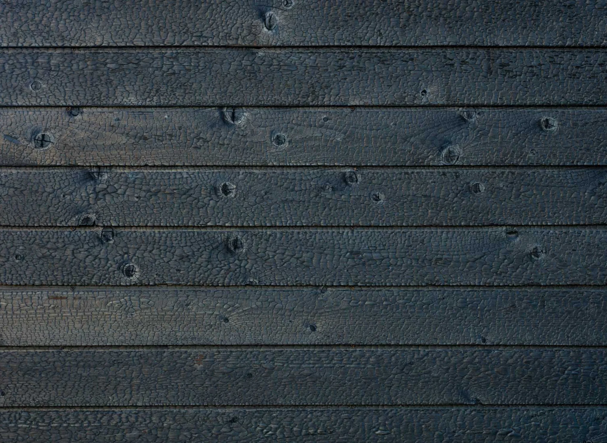 Sustainable construction with Yakisugi wood preservation