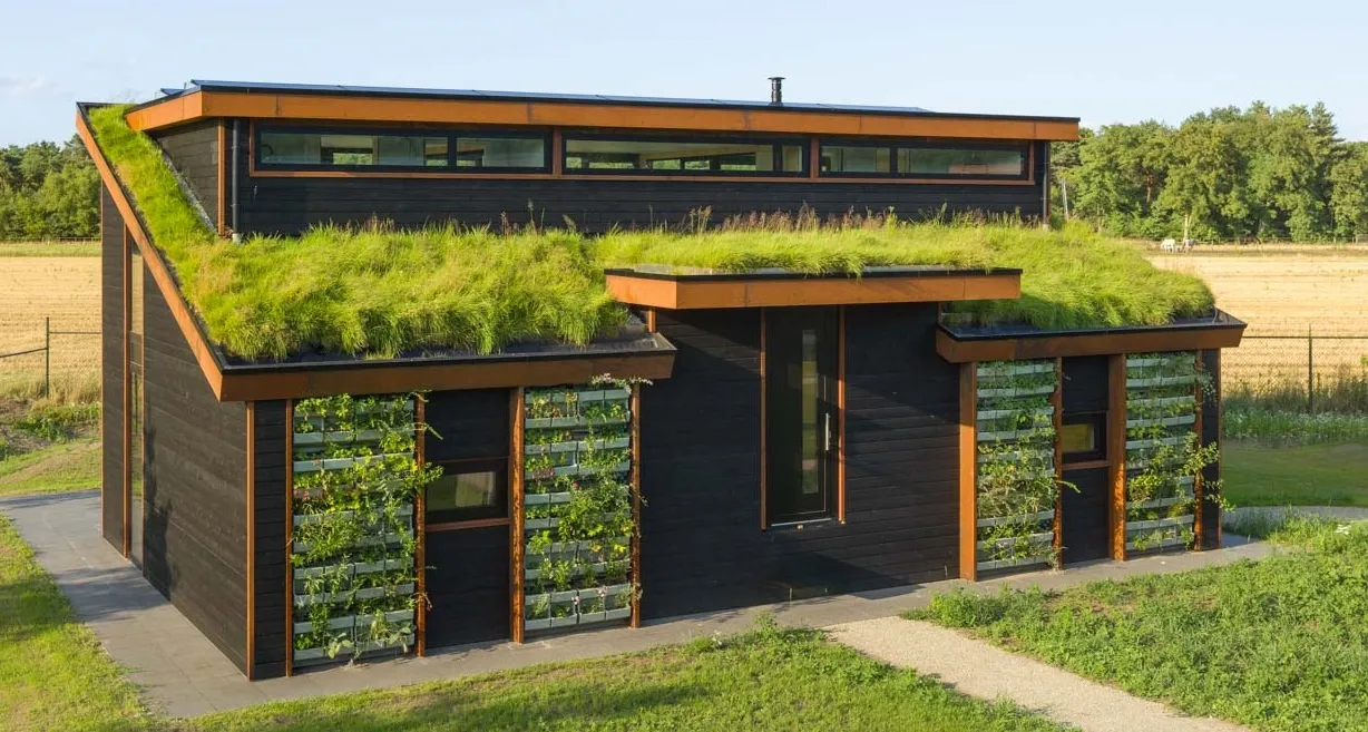 Green roofs for natural summer cooling