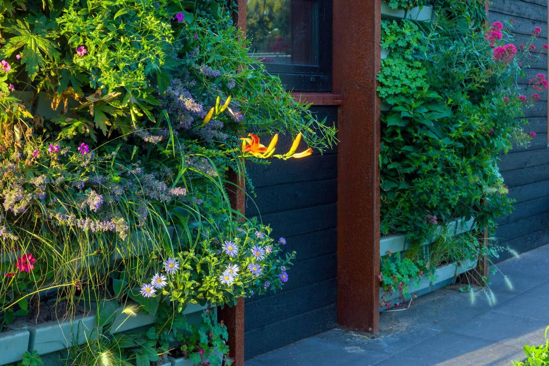 Exterior wall with auto-irrigated vertical garden integrated into forest house design
