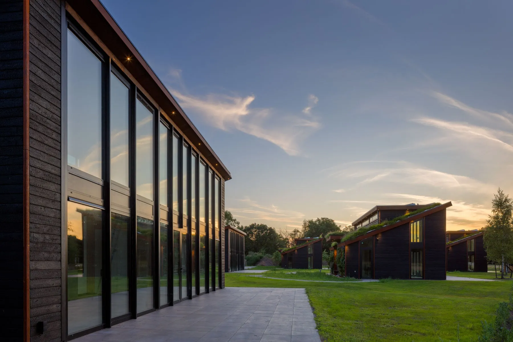Forest house with green roof