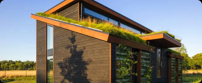 Sustainable architecture with green roof